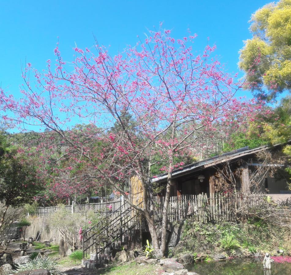 Bright Moon Homestay Dongshi  Buitenkant foto