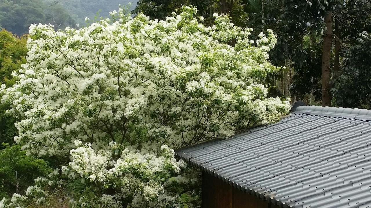 Bright Moon Homestay Dongshi  Buitenkant foto