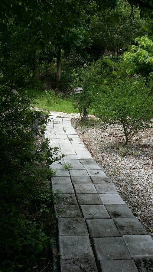 Bright Moon Homestay Dongshi  Buitenkant foto